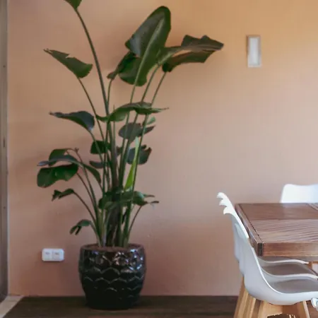 Salgados Premium By Da'home Villa Albufeira