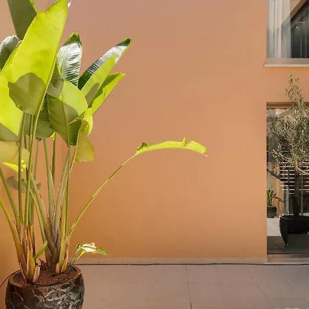 Salgados Premium By Da'home Villa *