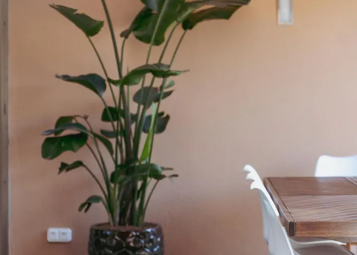 Salgados Premium By Da'home Villa Albufeira