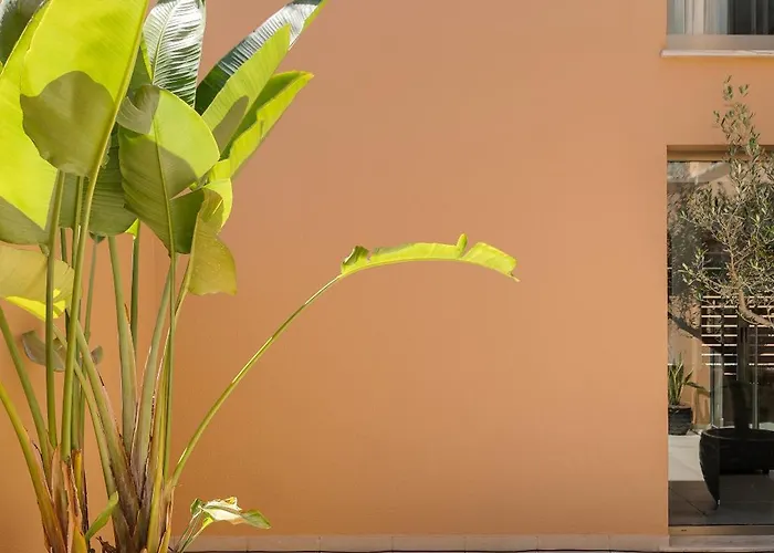 Salgados Premium By Da'home Villa *